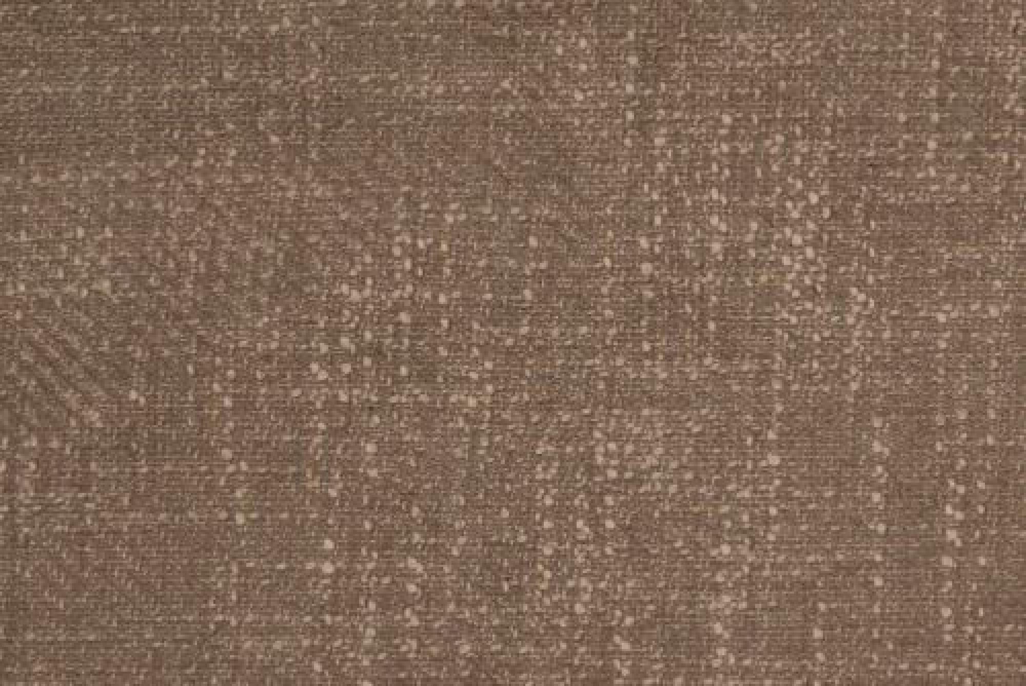 Band D : Polly Mocha