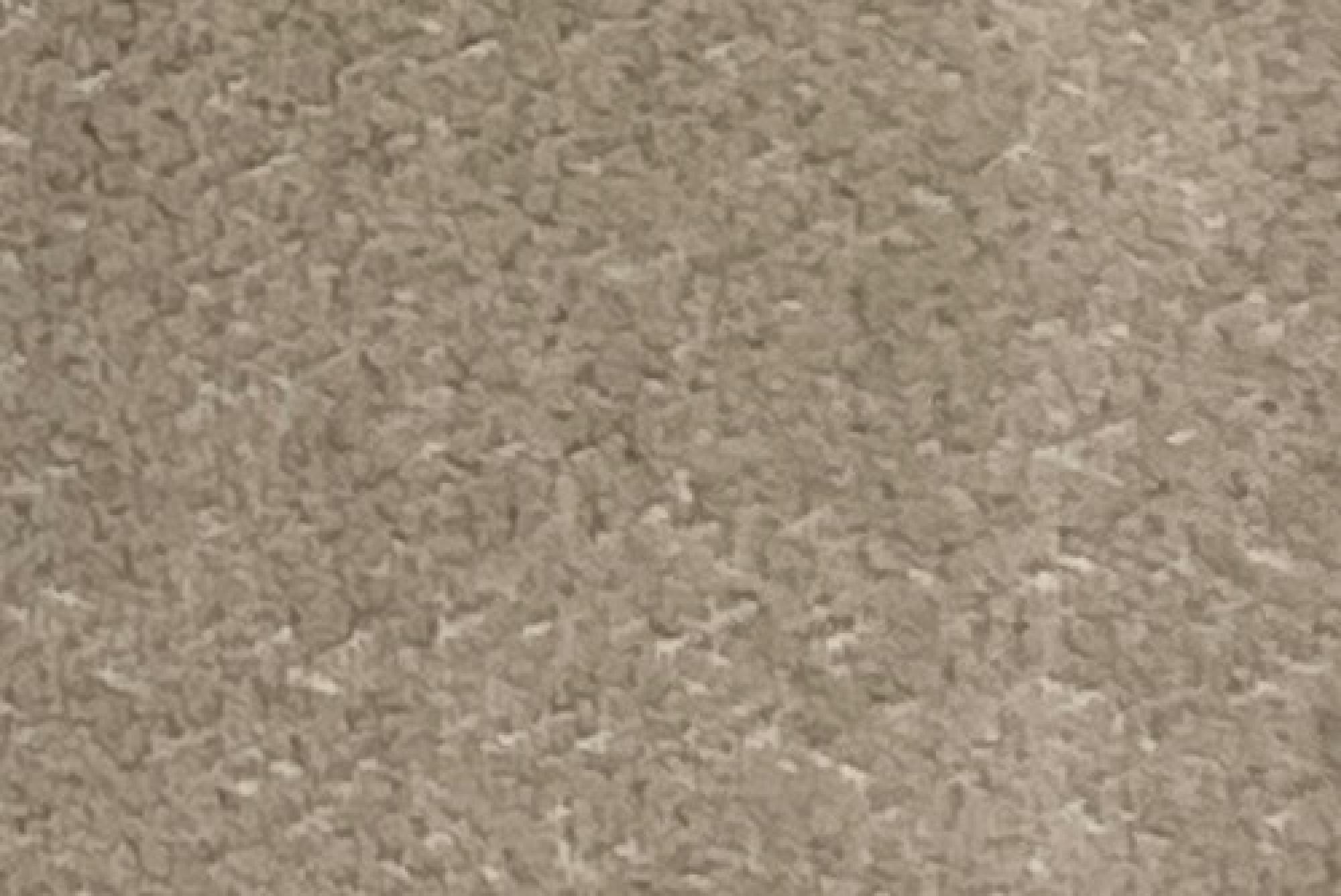 Band D : Cassius Taupe