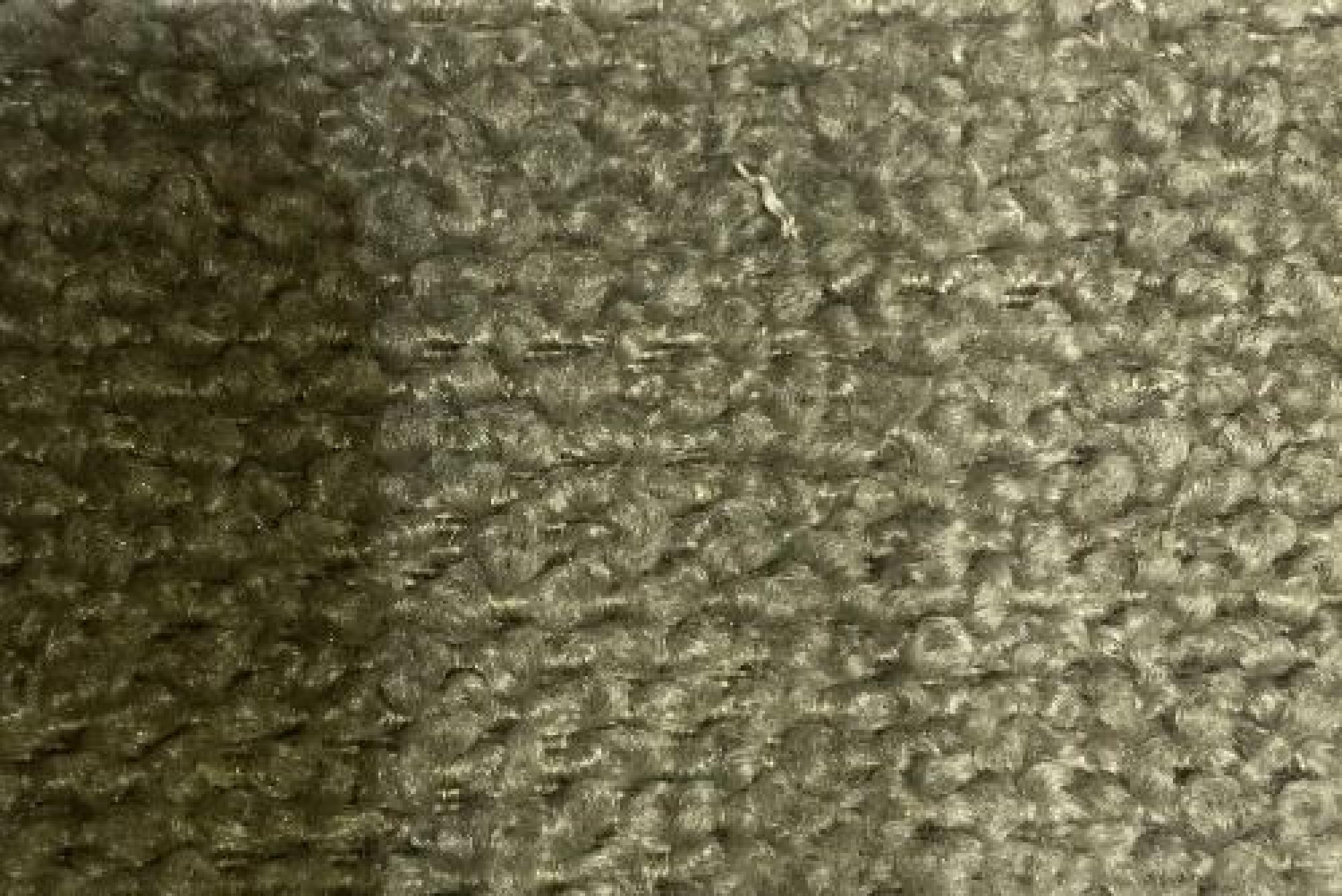 Band C : Greenock Latte