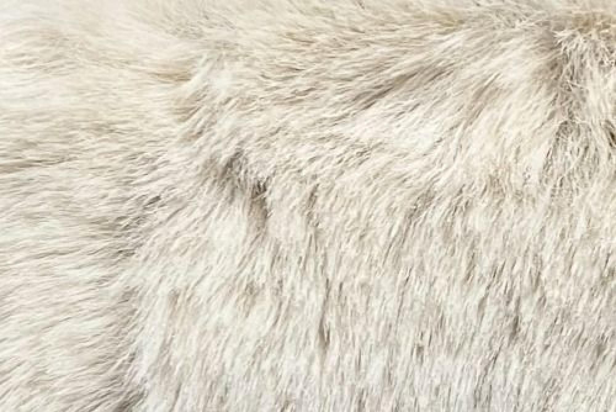 Band Superior : Bear Beige