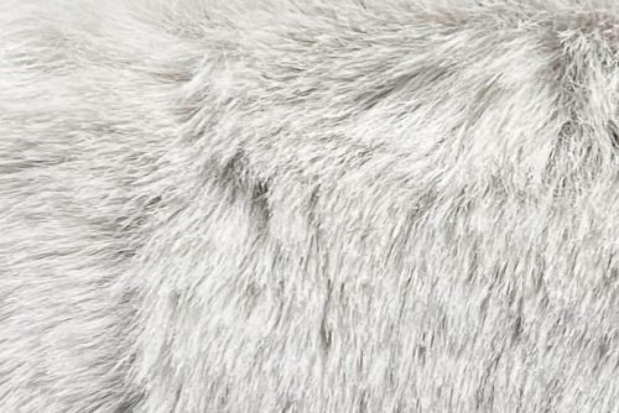 Band Superior : Bear Silver