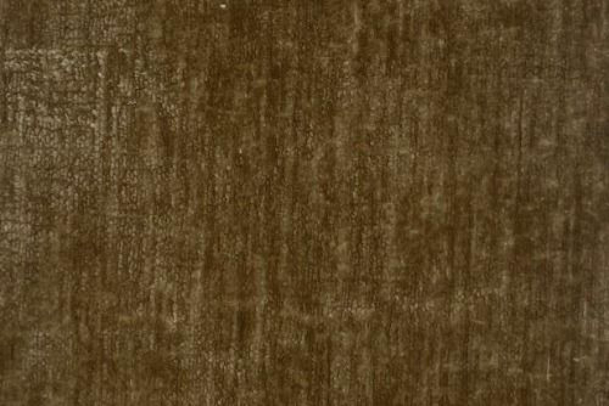 Band E : Vancouver Mink