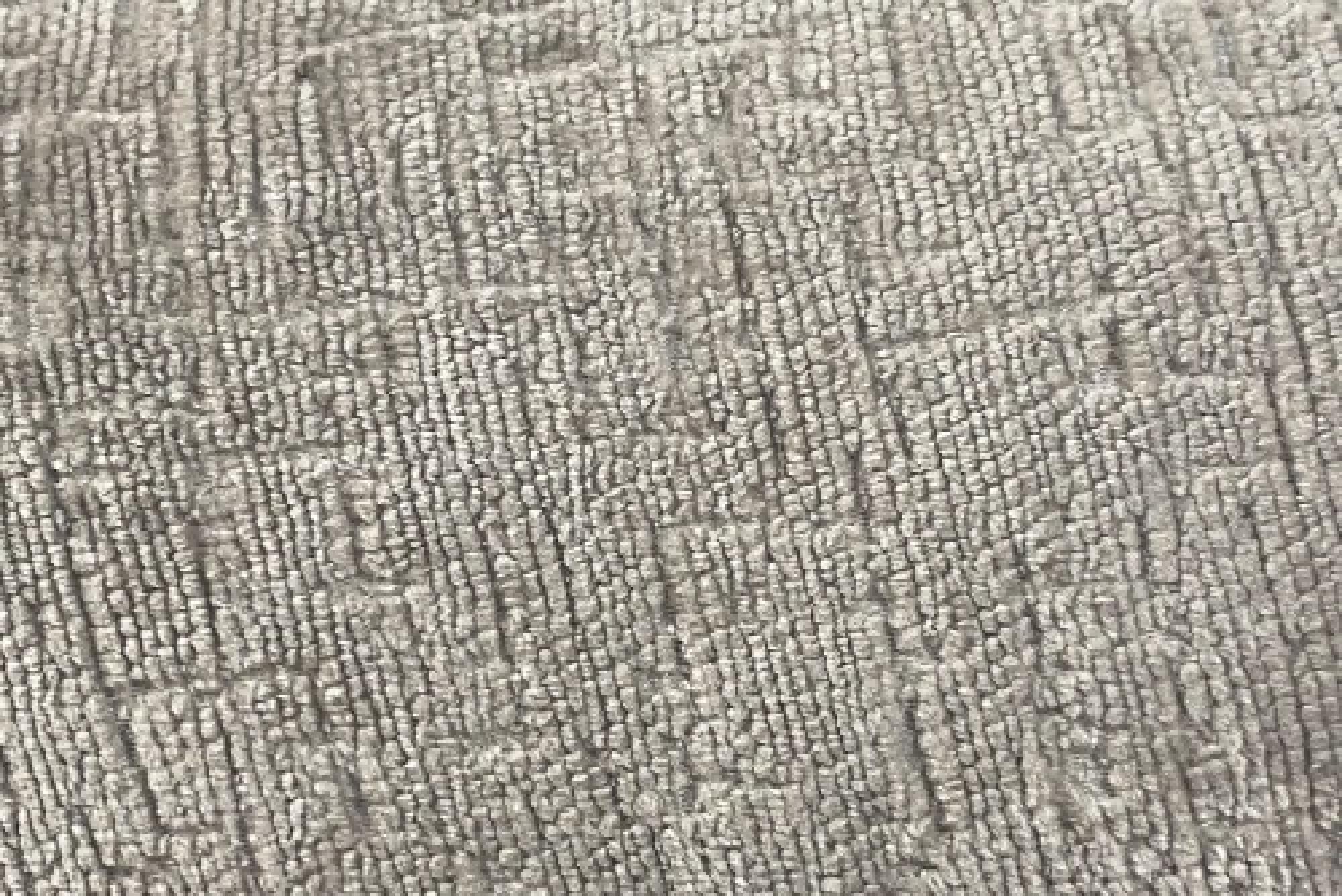 Band D : Titus Truffle