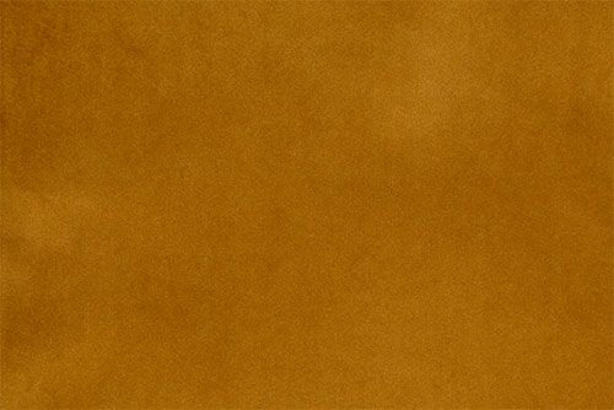 Band C : Festival Mustard