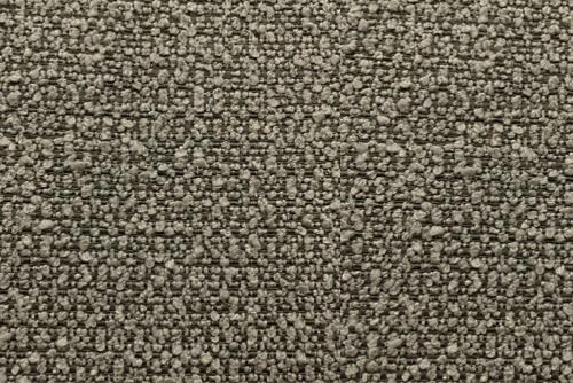 Band Plain : Albie Fossil