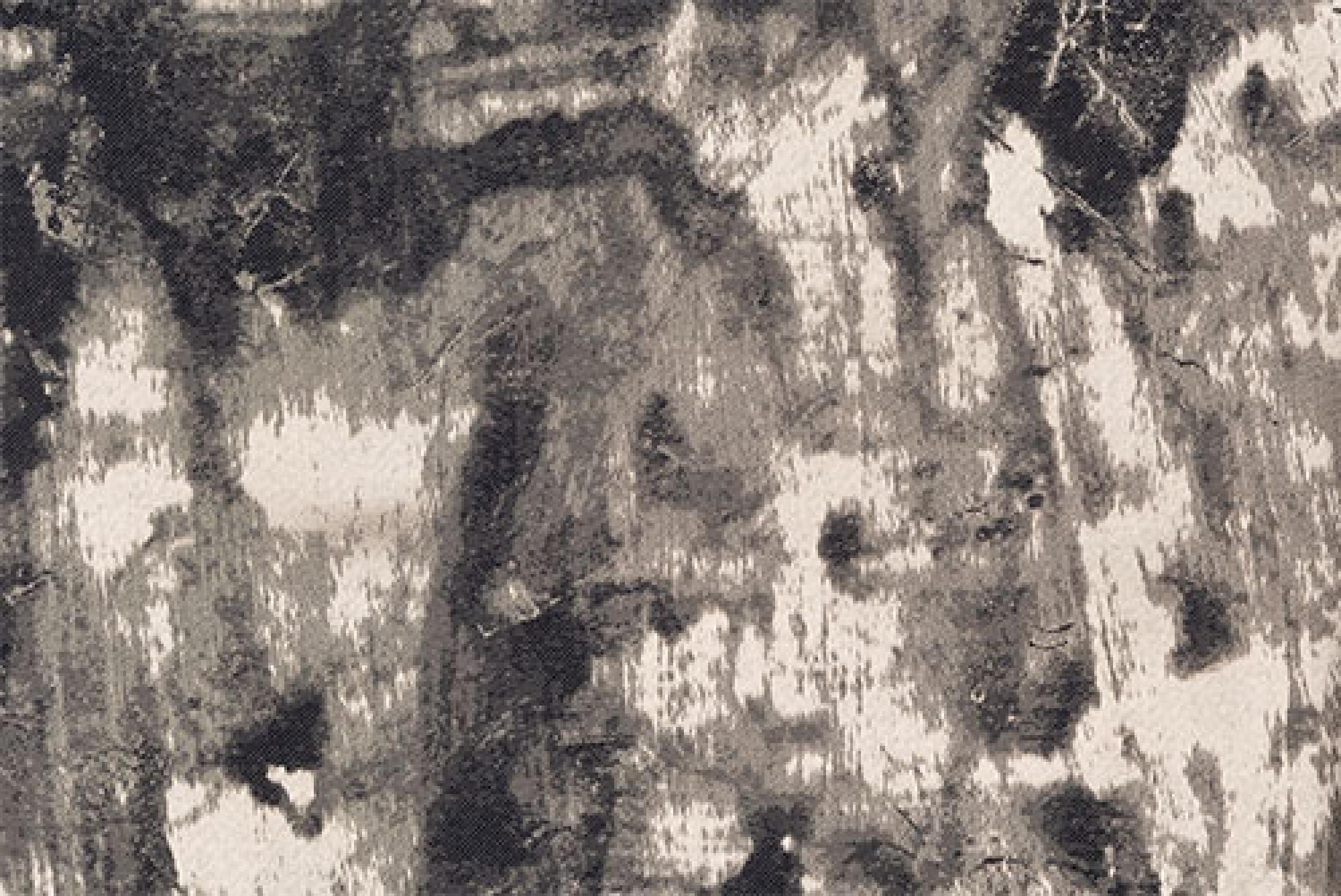 Band Deluxe : Tessere Gold