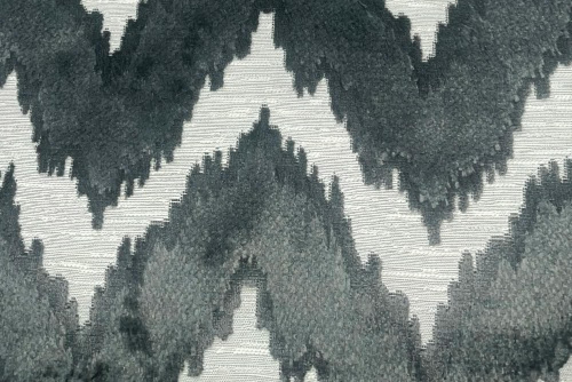 Band Superior : Vera Anthracite