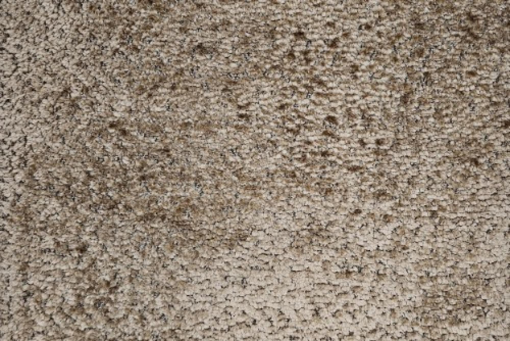 Band Plain : Jace Biscuit