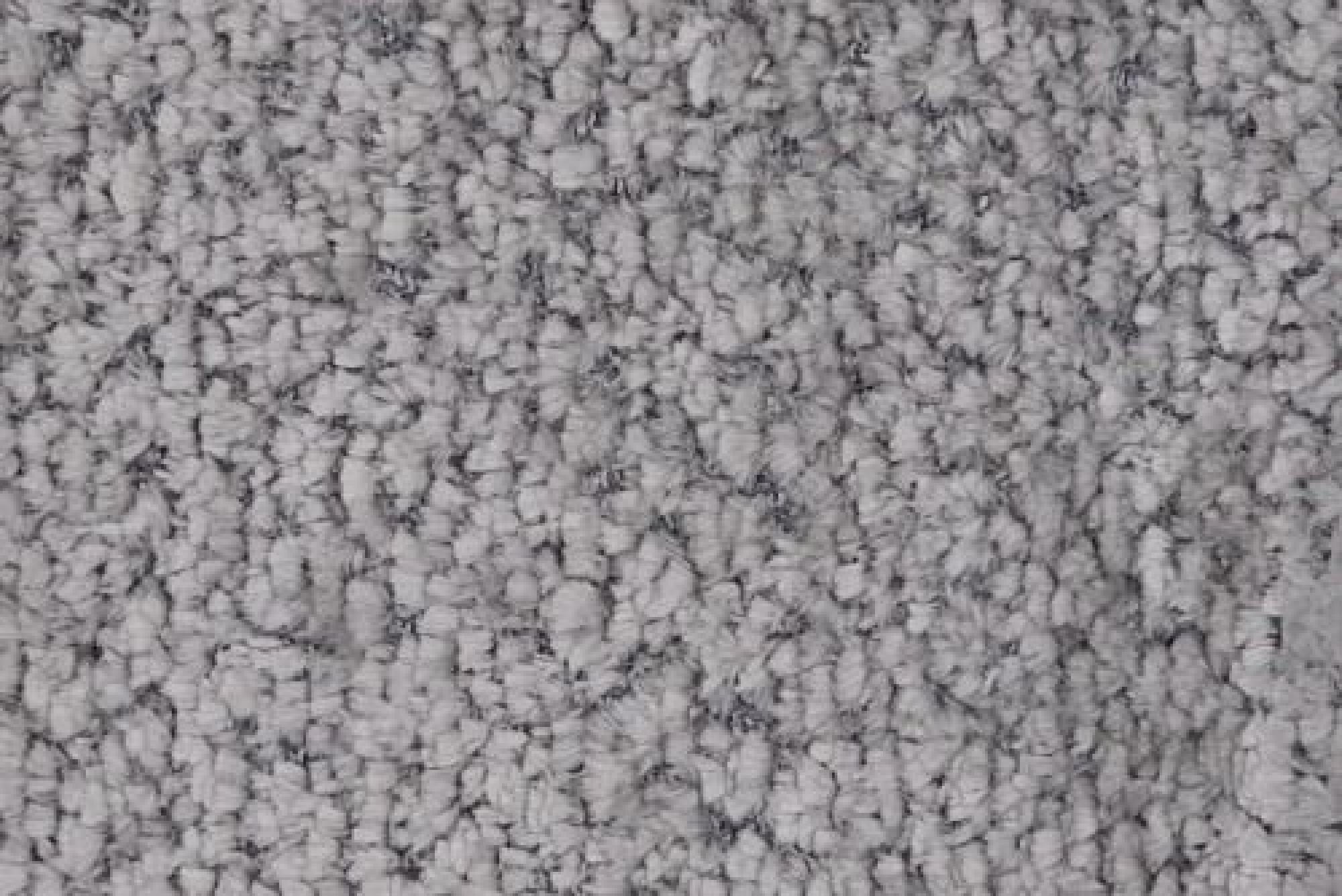 Band D : Jace Silver