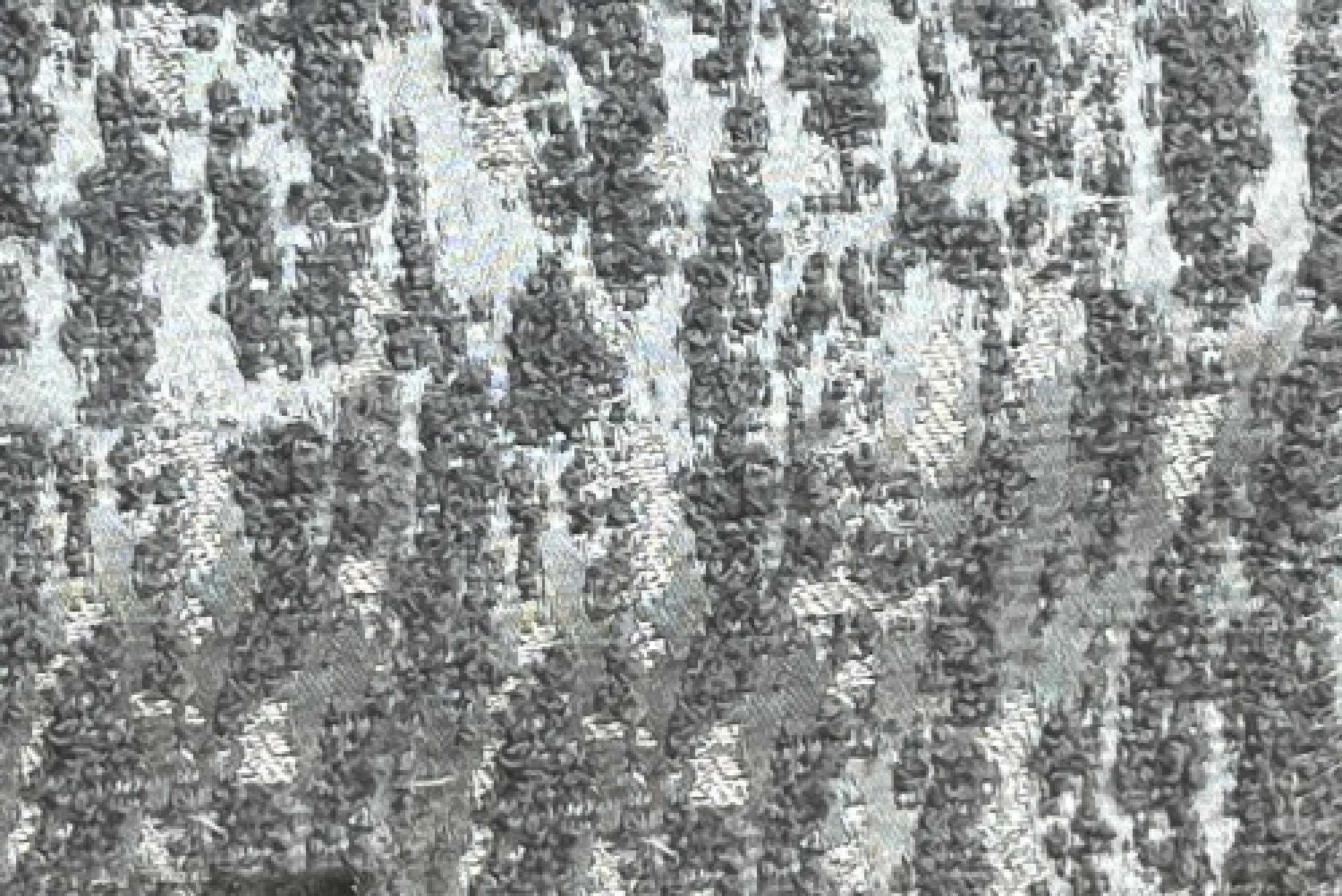 Band Deluxe : Palmer Silver