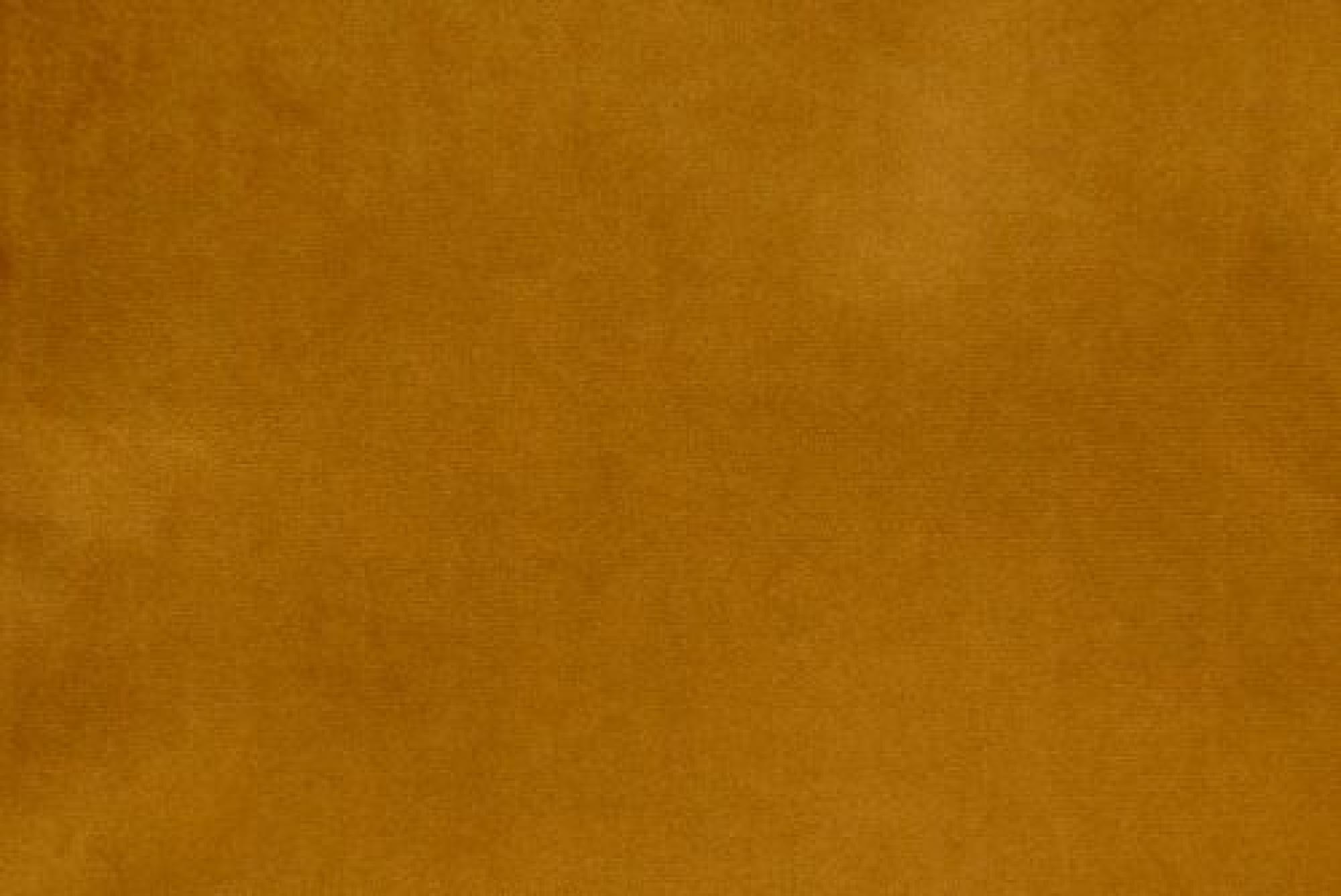 Band Plain : Festival Mustard