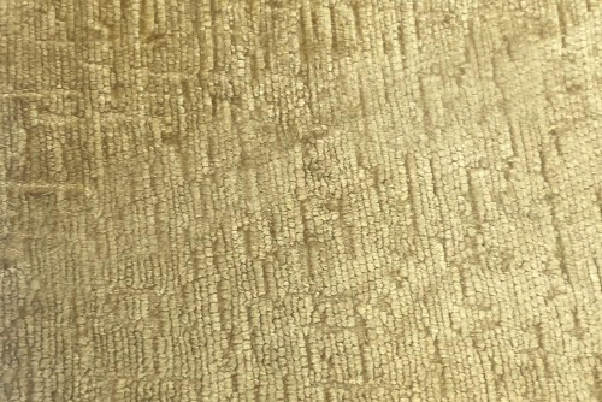 Band D : Titus Bronze