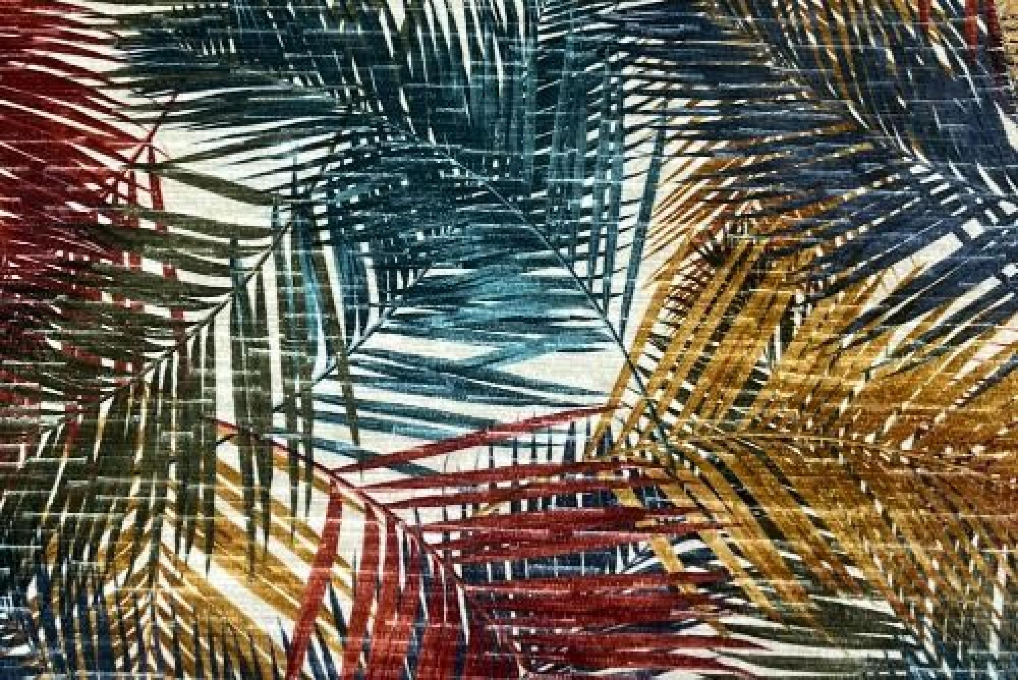 Band Deluxe : Amazon Tropical