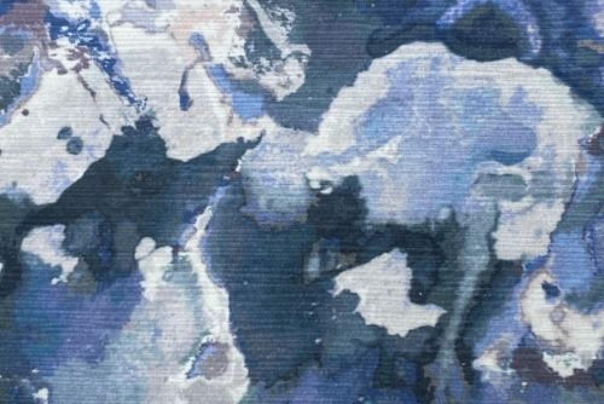 Band Deluxe : Dream Denim