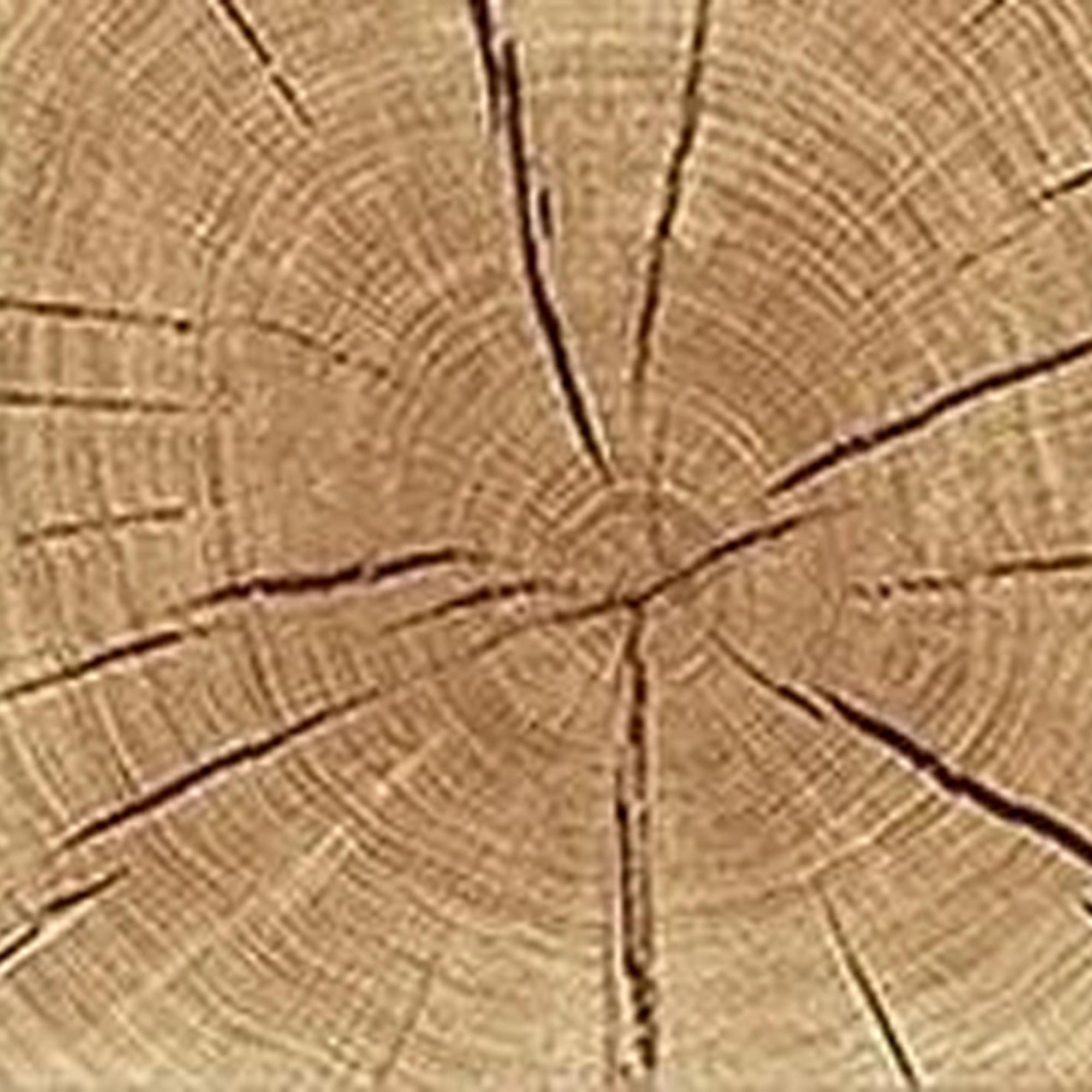 Clearance - TV Unit - Large - 3 Door - Modena Oak - B182