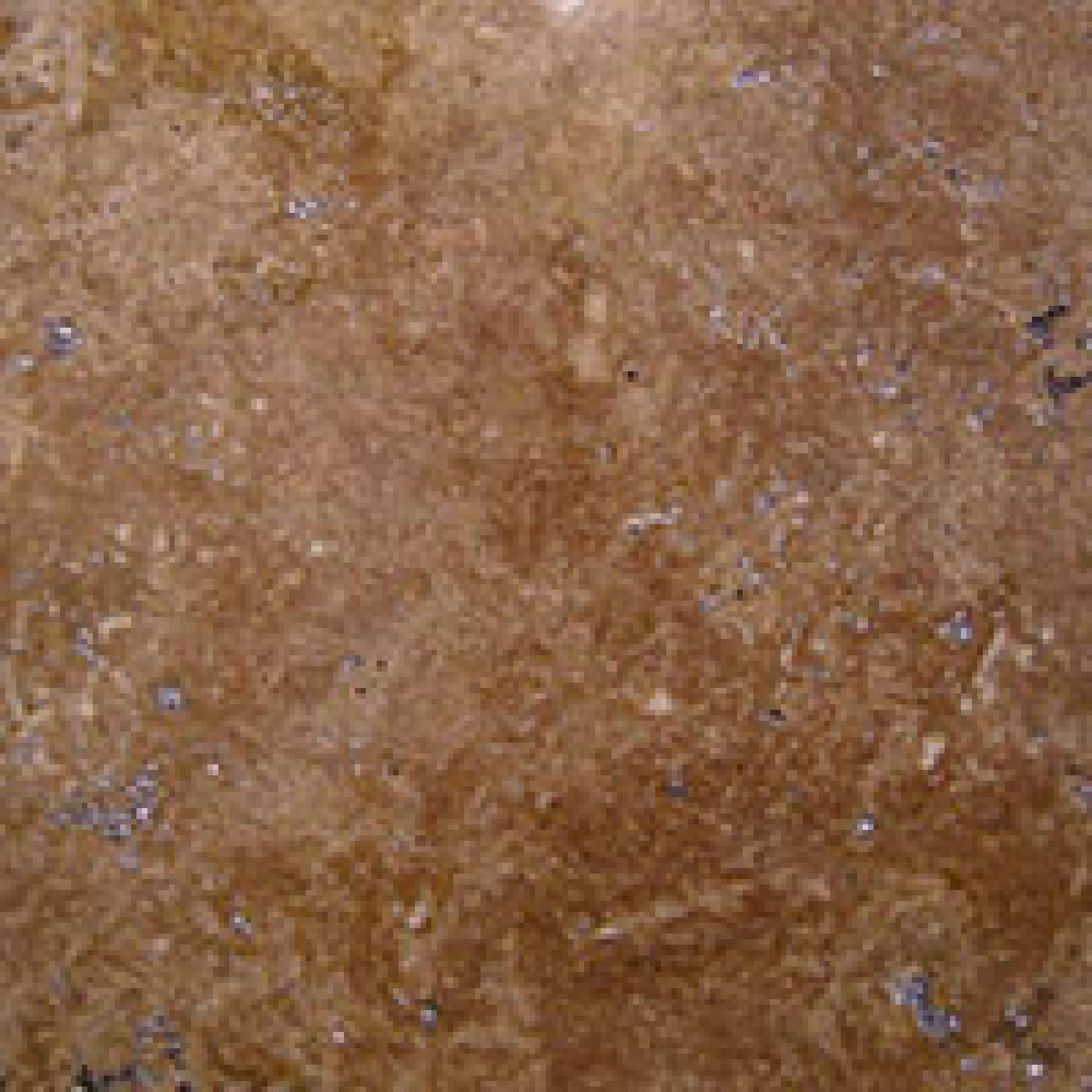 ASS : Siena Crystallized Silver