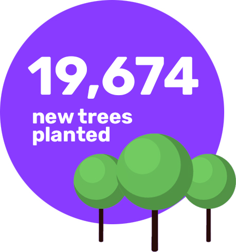 Environmental Image 2