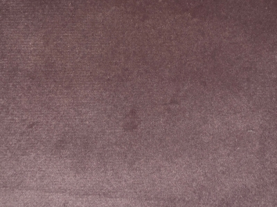 Scarlet 29 Light Violet