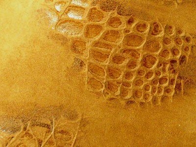 472 Cat 4B : Embossed Crocodile Tan