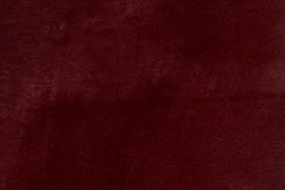 Band C : Festival Burgundy