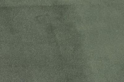 Band C : Festival Khaki