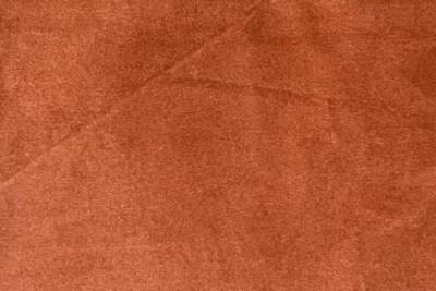 Band C : Festival Marmalade