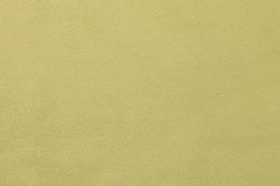 Band C : Festival Olive