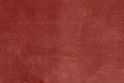 Band D : Sublime Flamingo