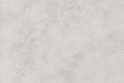 Band D : Jive Oyster