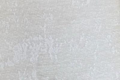 Band D : Liberty Oyster