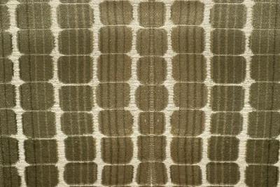 Band Deluxe : Sandro Olive