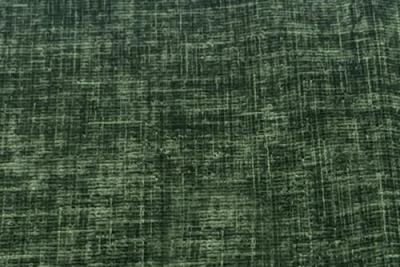 Band D : Blakely Moss