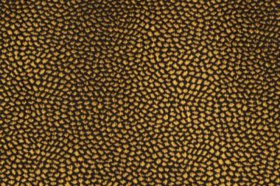 Band Pattern : Whimsical Saffron