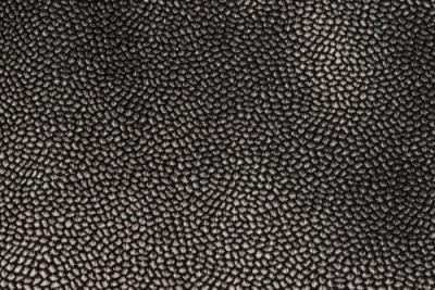 Band Pattern : Whimsical Steel