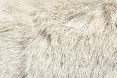 Band Superior : Bear Beige