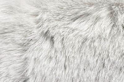 Band Superior : Bear Silver