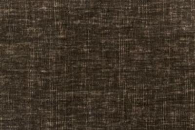 Band D : Dion Driftwood