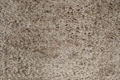 Plain : Jace Biscuit