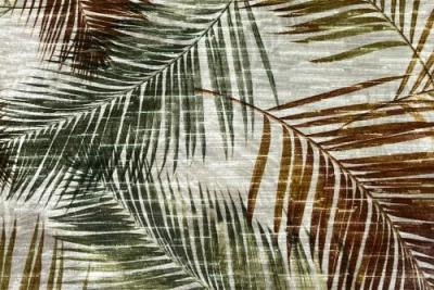 Band Deluxe : Amazon Autumn