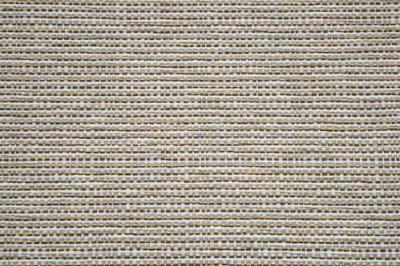 Band B : Ashton Mustard