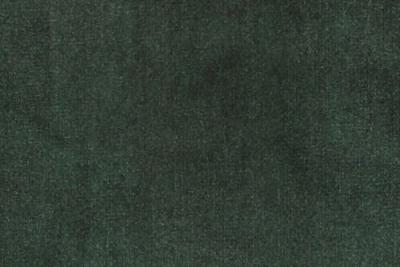 Band D : Duke Bottlegreen