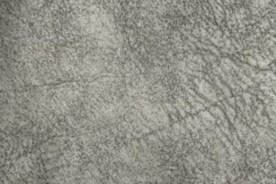 Band C : Kenzo Oatmeal