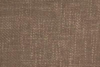 Band D : Polly Mocha