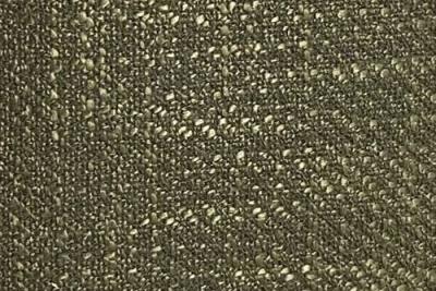 Band D : Polly Olive