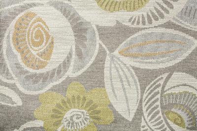 Band Pattern : Camelia Winter