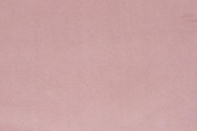 Band Plain : Festival Blush