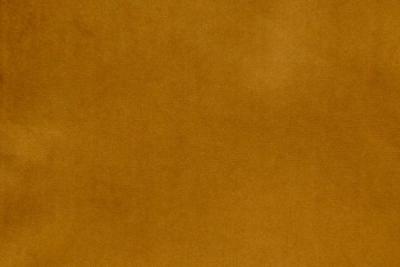 Band Plain : Festival Mustard