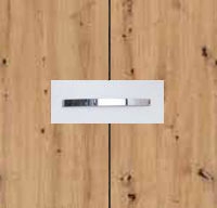 Rauch Aditio Aritsan Oak Carcase and Front with Aluminium Color Handle No1 AD64B