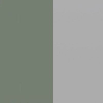 Reed Green Front with Matt Grey Base