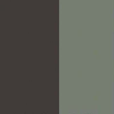 Graphite Front with Reed Green Base